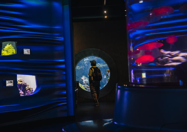 San Francisco Museums After Dark